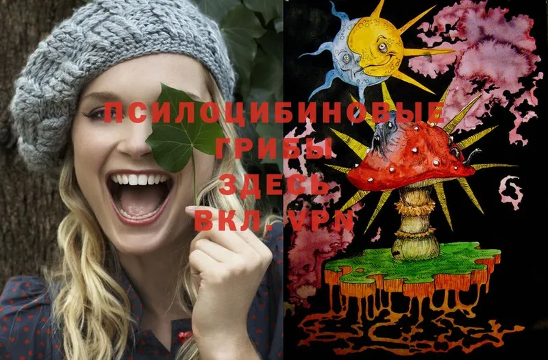 Псилоцибиновые грибы Psilocybe  дарнет шоп  Приволжск 